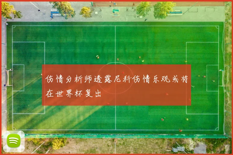 伤情分析师透露尼科伤情乐观或将在世界杯复出