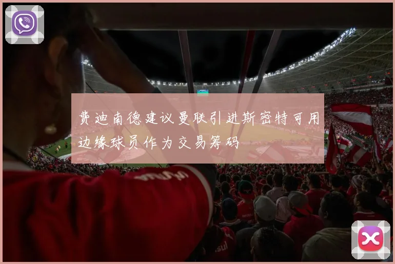 费迪南德建议曼联引进斯密特可用边缘球员作为交易筹码